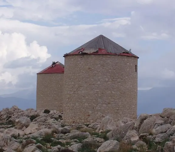 Amalia アパート *